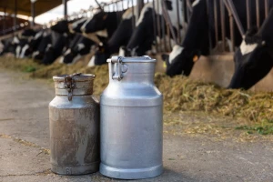 Sokolački farmeri oborili vlastiti rekord u proizvodnji mlijeka