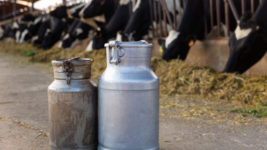 Sokolački farmeri oborili vlastiti rekord u proizvodnji mlijeka
