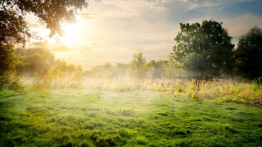 Ko više ponudi, njemu ide: Na prodaju livada i šuma