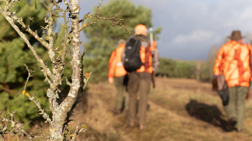 USKOK u akciji u 10 županija, nastavak uhićenja zbog lažnih lovačkih dozvola?