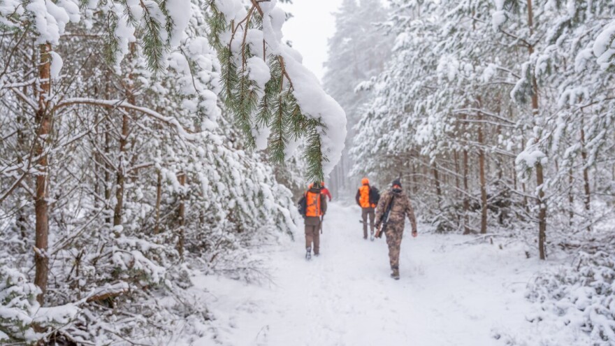 Zbog snijega zabranjen lov divljači: "Iznesite hranu životinjama"