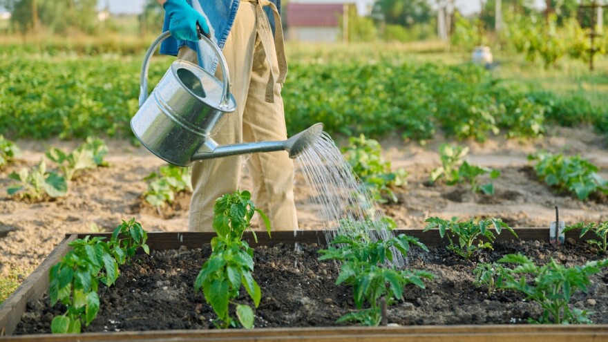 Pred nama još jedan duži period bez padavina s natprosječnim temperaturama