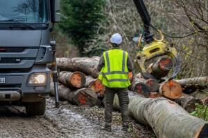 Fočaka "uhvatili" s bukovom građom bez šumarskog čekića, policija sve oduzela