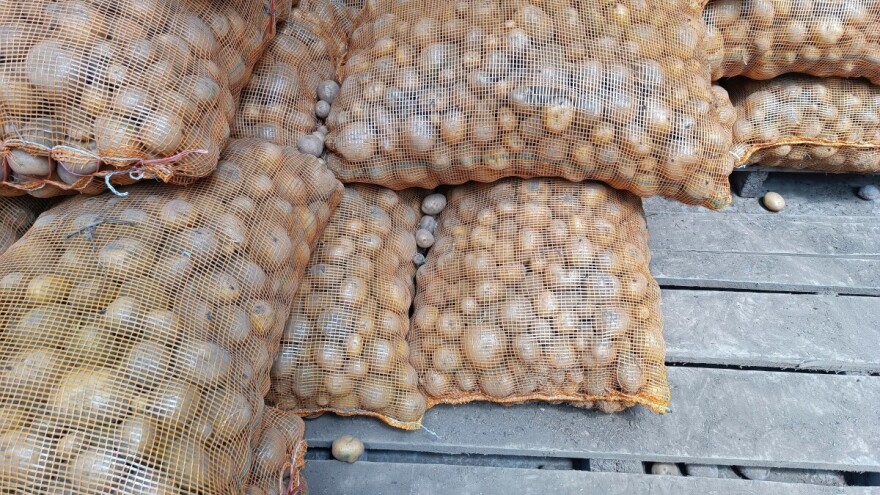 Zabranjen uvoz skoro 19 tona sjemenskog krompira u BiH