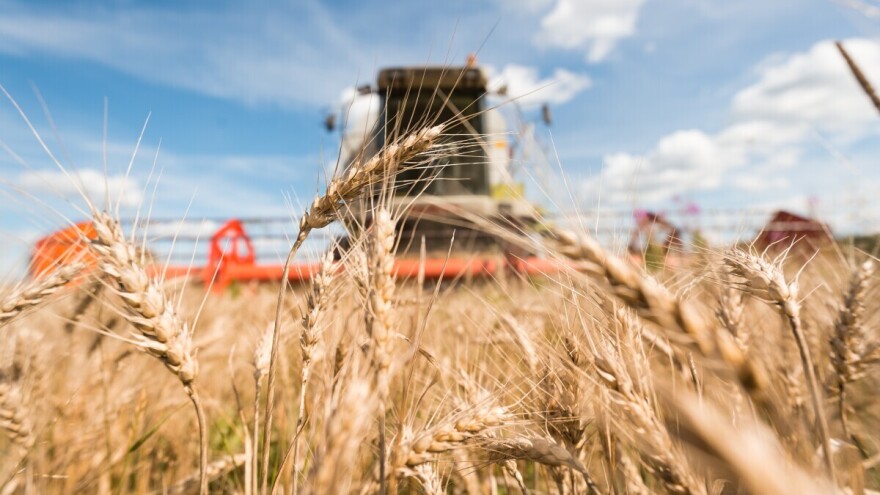 Nestašica goriva preti žetvi: Rusija uvodi zabranu izvoza benzina