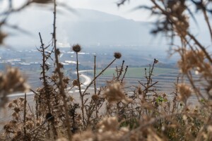 U tri godine samo četiri grada i općine prijavile zapuštene poljoprivredne površine?!