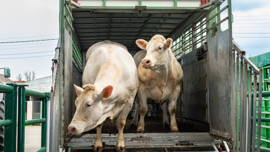 BiH zabranila uvoz papkara iz Brandenburga