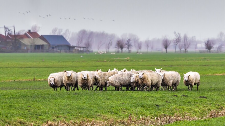 Kiša stiže kao naručena pred početak sjetvene sezone
