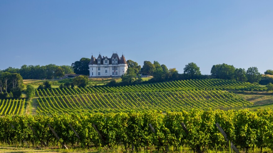 Sud Europske unije poništio francuski strateški plan ZPP-a