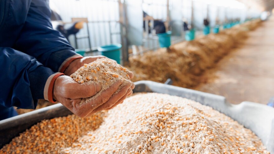 Mostar domaćin međunarodne konferencije o sigurnosti hrane: Nauka u akciji