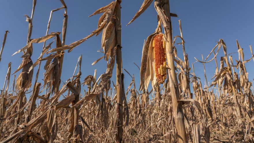 U Orašju proglašeno stanje prirodne nesreće zbog suše