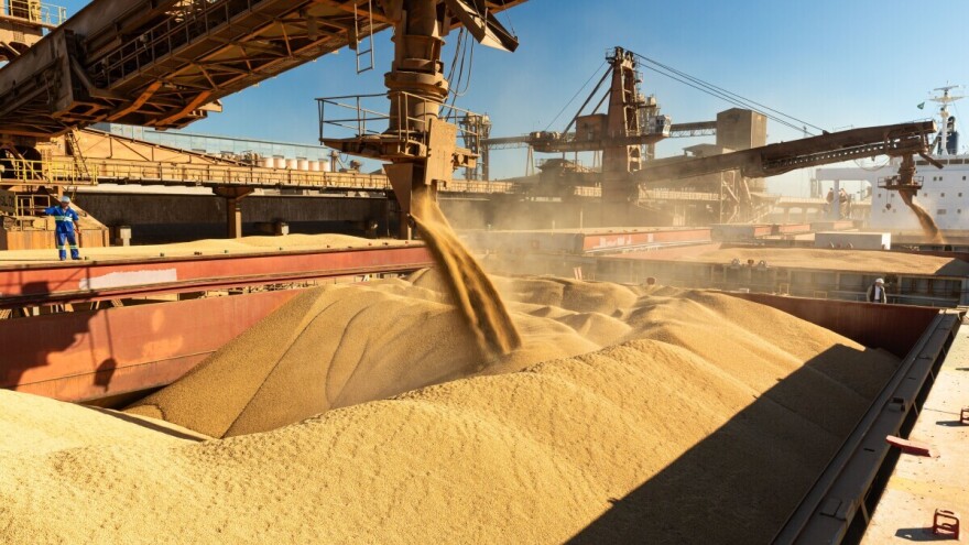 Bez američke soje već tri meseca: Kina masovno kupuje u Južnoj Americi