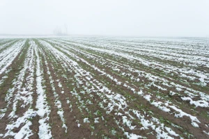 Pao prvi ovosezonski snijeg, šta pokazuje prognoza do kraja novembra?