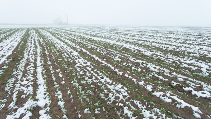 Pao prvi ovosezonski snijeg, šta pokazuje prognoza do kraja novembra?