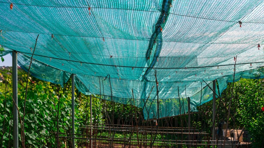 Kako zaštitne mreže pomažu kod visokih temperatura?