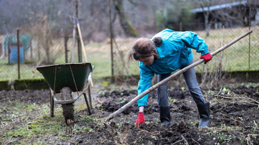 Kako prepoznati iscrpljenu baštu nakon sezone?