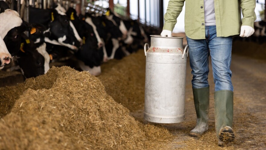 TISUP objavio izvješće - Gdje smo s otkupnom cijenom mlijeka?