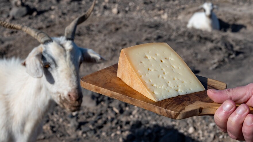 Udruga RUKA Vladi i Saboru: Hitno smanjite stope PDV-a na sir i mliječne proizvode