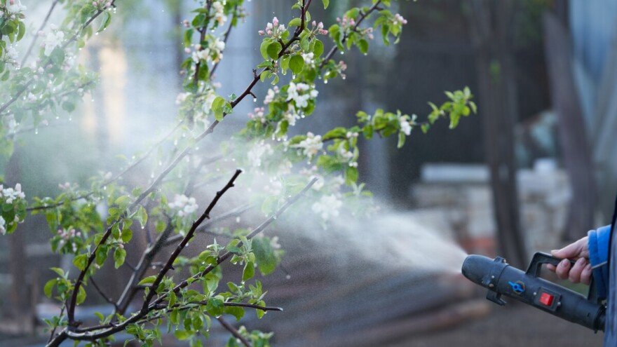 RHMZ izdao upozorenje zbog mraza. Voćari budite u pripravnosti i primenite mere zaštite