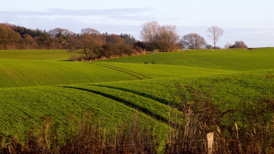 Evo kako treba da se odradi ranoprolećna nega livada i pašnjaka