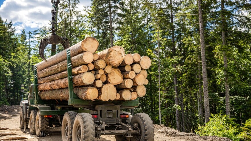 Šumokradice na meti policije: Dvijica "pala", trećem oduzeto 39 kubika trupaca