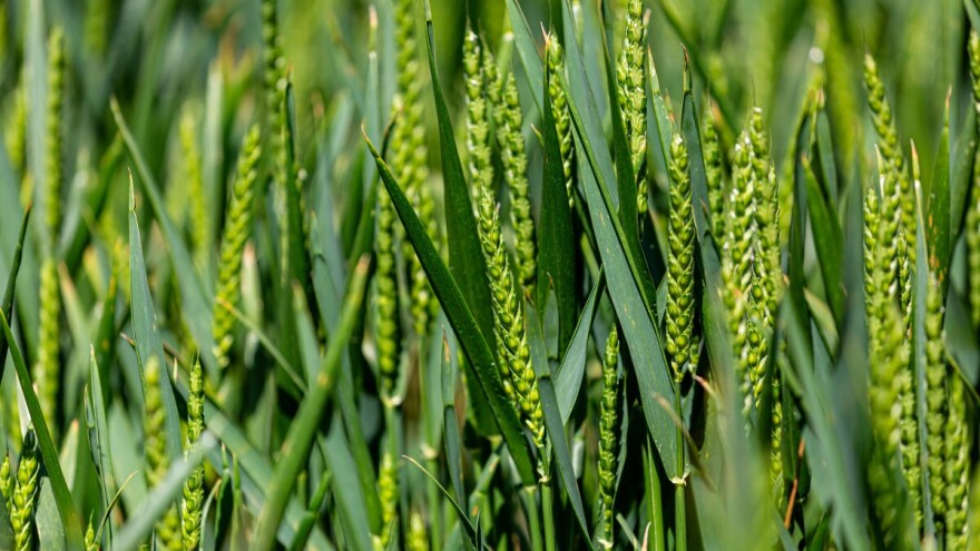 Prednosti primene KAN-a u odnosu na URE-u