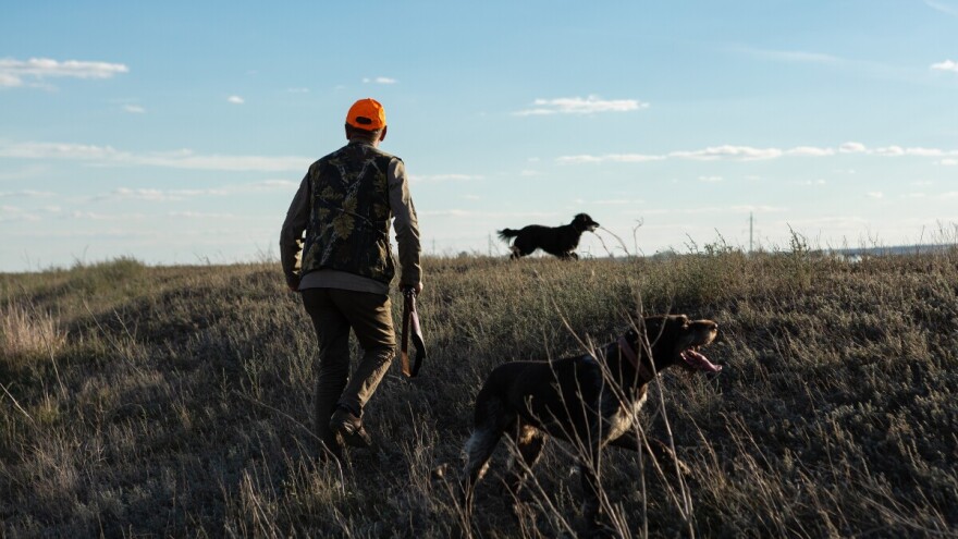 Odstrel sve veći, broj lovaca opada