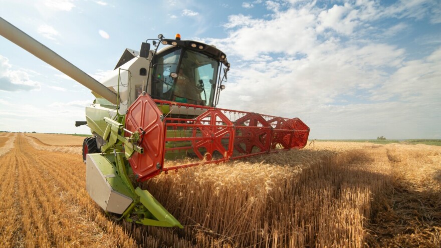 Recept za zbrinjavanje viška pšenice nije izvoz u bescjenje i gomilanje gubitka uz prozivanje države