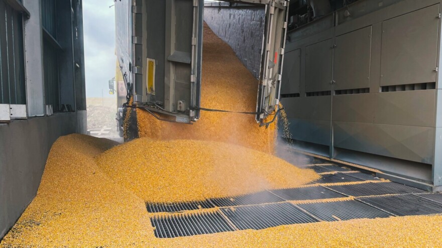 Zabeležen pad cena svih primarnih ratarskih kultura