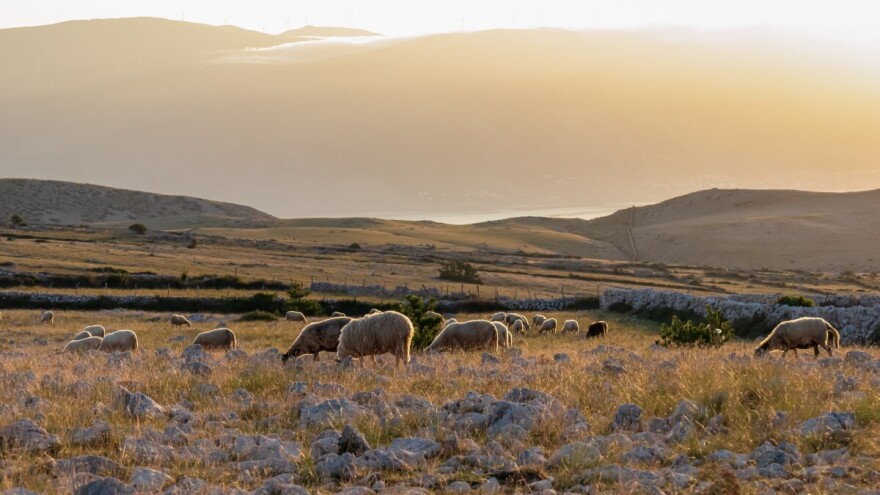 Podnesite zahtjeva za potpore putem Agroneta za tri nacionalna programa