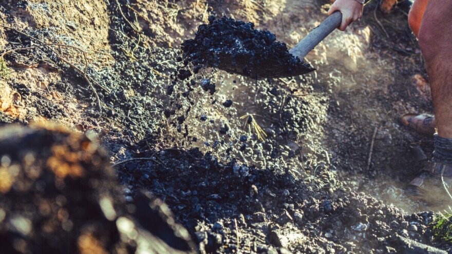 Sve će više rasti upotreba biougljena, poboljšava plodnost i prkosi suši