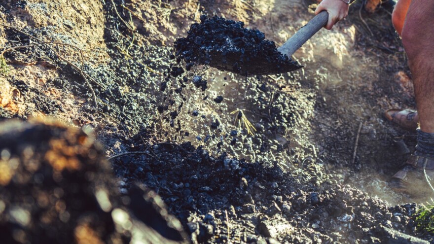 Sve će više rasti uporaba biougljena, poboljšava plodnost i prkosi suši