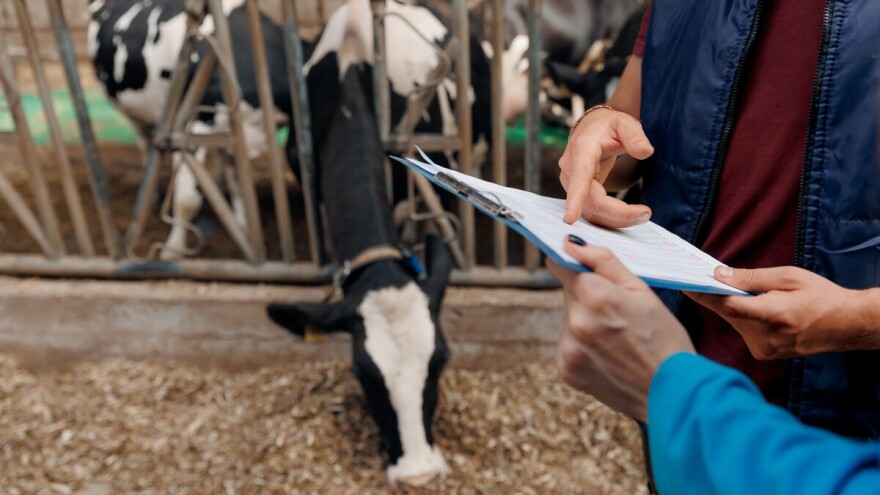 Mljekari RS traže pomoć lokalnih zajednica za obavezne troškove uzgajivača