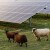 Vatikan gradi poljoprivredni solarni park, cilj mu je da postane prva ugljenično neutralna zemlja