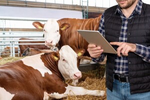 Grčka uvodi mikročipove za stoku nakon afere sa zloupotrebama EU subvencija