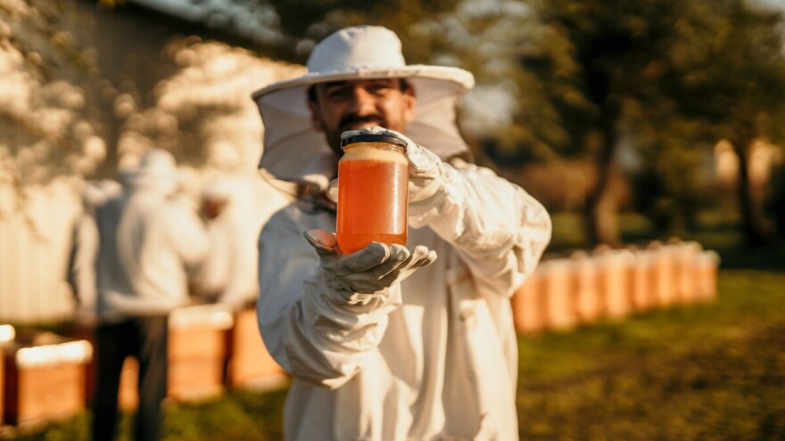 Pčelari ogorčeni, odustaju od prodaje, pitaju kome se ide na ruku ograničenjem cijene meda?