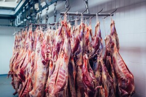BiH ukinula veterinarske kontrole pri izvozu proizvoda životinjskog porijekla