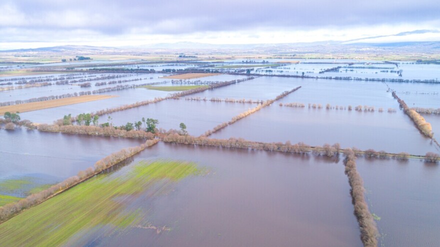 Španija ponovno zbraja štete: Stotine hektara povrća pod vodom