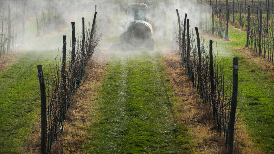 Kada i kako provesti zaštitu jezgričavog voća?
