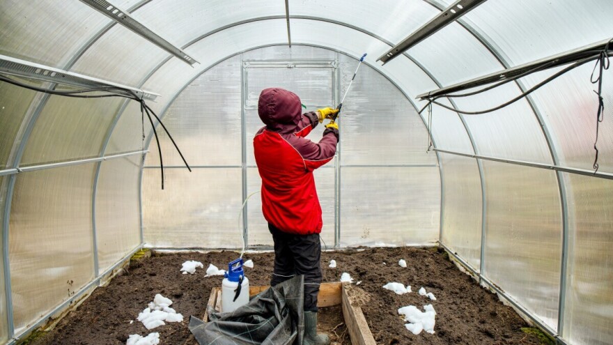 Dezinfekcija plastenika - kako i čime je obaviti?