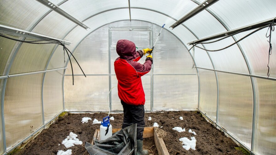 Dezinfekcija plastenika - kako i čime je obaviti?