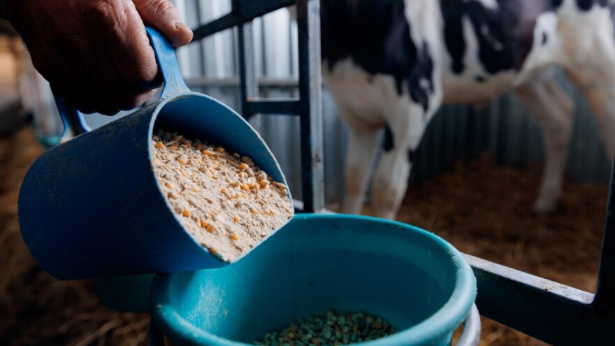 Pšenica zabeležila najveći rast cene, sledi je soja. Kukuruz najtraženija roba