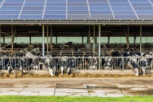 Provjerili smo: Na natječaj za obnovljive izvorne energije pristiglo je 38 zahtjeva