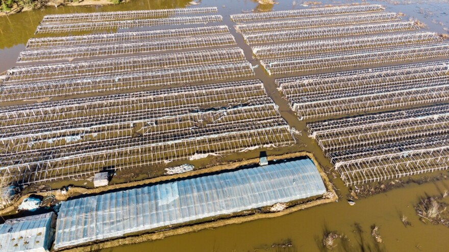 Oluja Kristin pogodila Pirenejski poluotok: Milijunske štete u poljoprivredi