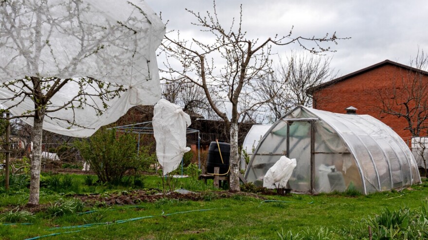 Zaštita biljaka u cvjetanju od niskih temperatura: Šta može pomoći?