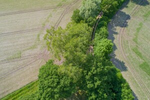 Upravljanje šumama, livadama i tresetištima ključni za bioraznolikost