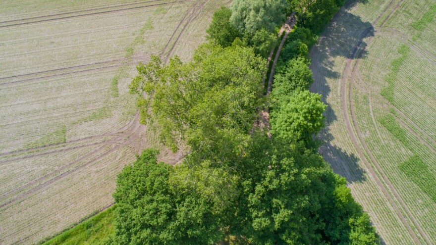 Upravljanje šumama, livadama i tresetištima ključni za bioraznolikost
