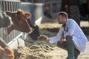 Veterinari, sretan vam vaš dan