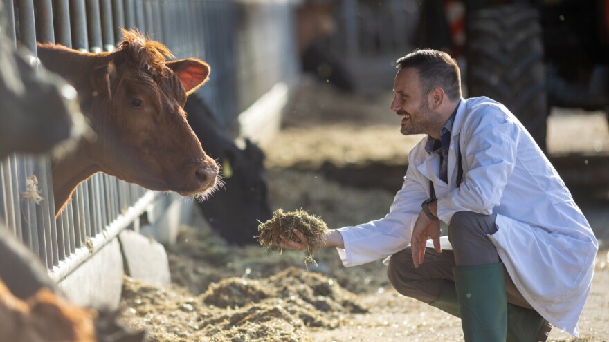 Veterinari, sretan vam vaš dan