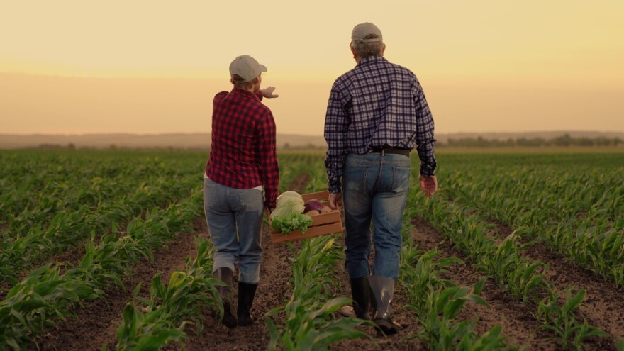 20.000 hektara ispod (mora) samodostatnosti